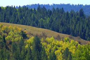 Grouse Creek hills 37